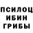 Псилоцибиновые грибы прущие грибы JS studio