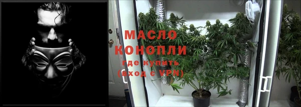 PSILOCYBIN Белокуриха