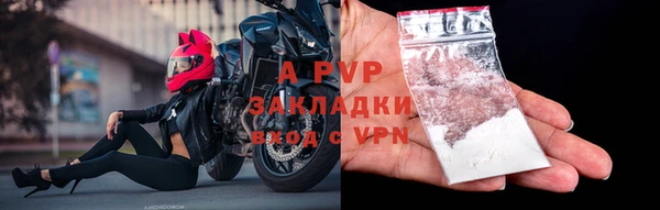 PSILOCYBIN Белокуриха