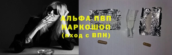 PSILOCYBIN Белокуриха
